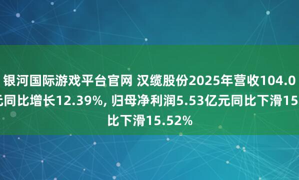 银河国际游戏平台官网 汉缆股份2025年营收104.07亿元同比增长12.39%， 归母净利润5.53亿元同比下滑15.52%