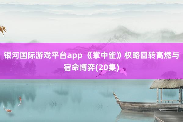 银河国际游戏平台app 《掌中雀》权略回转高燃与宿命博弈(20集)