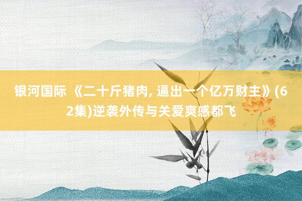 银河国际 《二十斤猪肉， 逼出一个亿万财主》(62集)逆袭外传与关爱爽感都飞