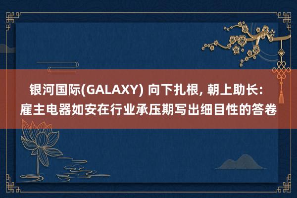 银河国际(GALAXY) 向下扎根, 朝上助长: 雇主电器如安在行业承压期写出细目性的答卷