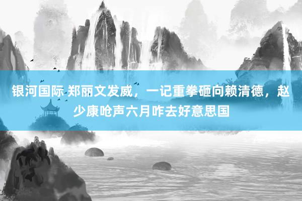 银河国际 郑丽文发威，一记重拳砸向赖清德，赵少康呛声六月咋去好意思国