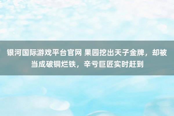 银河国际游戏平台官网 果园挖出天子金牌，却被当成破铜烂铁，辛亏巨匠实时赶到