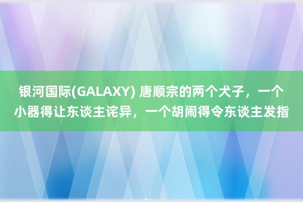 银河国际(GALAXY) 唐顺宗的两个犬子，一个小器得让东谈主诧异，一个胡闹得令东谈主发指