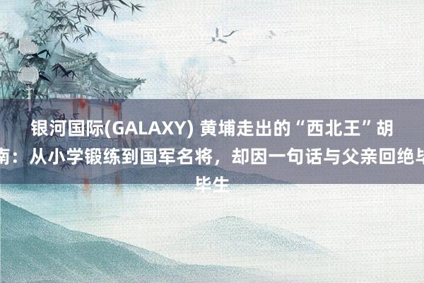 银河国际(GALAXY) 黄埔走出的“西北王”胡宗南：从小学锻练到国军名将，却因一句话与父亲回绝毕生