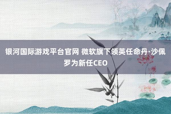 银河国际游戏平台官网 微软旗下领英任命丹·沙佩罗为新任CEO