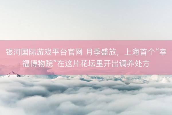 银河国际游戏平台官网 月季盛放，上海首个“幸福博物院”在这片花坛里开出调养处方